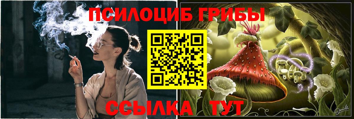 Галлюциногенные грибы мицелий Клин