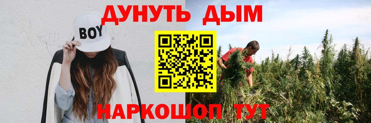 Бошки марихуана планчик  Вход с VPN  Каннабис Amnesia  Канабис Bruce Banner  Клин 